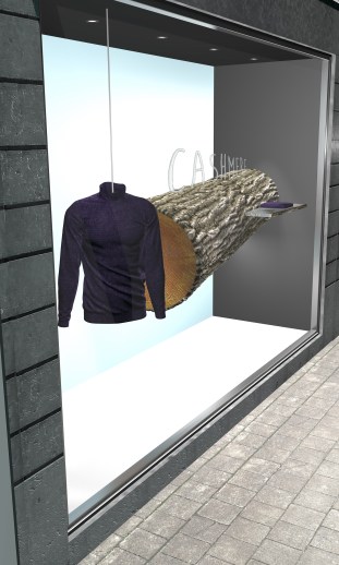 vitrine_render_final3 copie